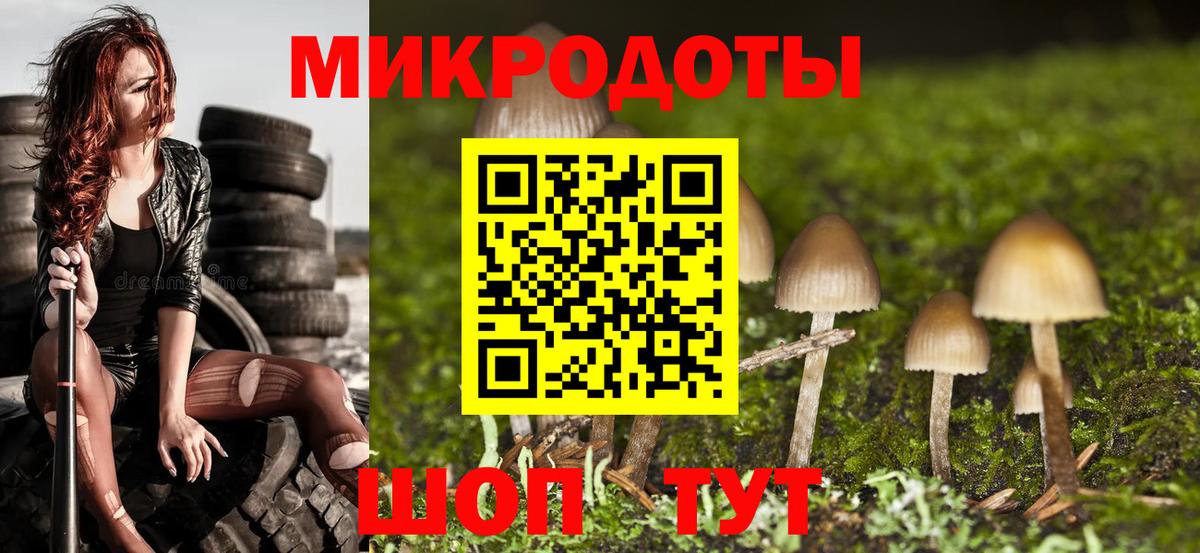 Псилоцибиновые грибы мицелий Знаменск