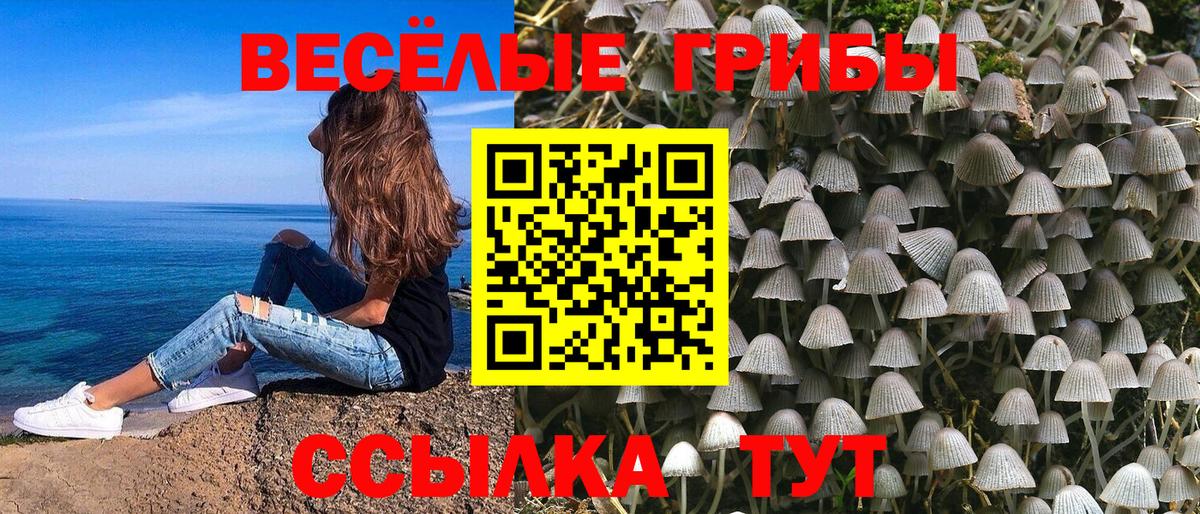 Галлюциногенные грибы мицелий  Вход с VPN  Знаменск 